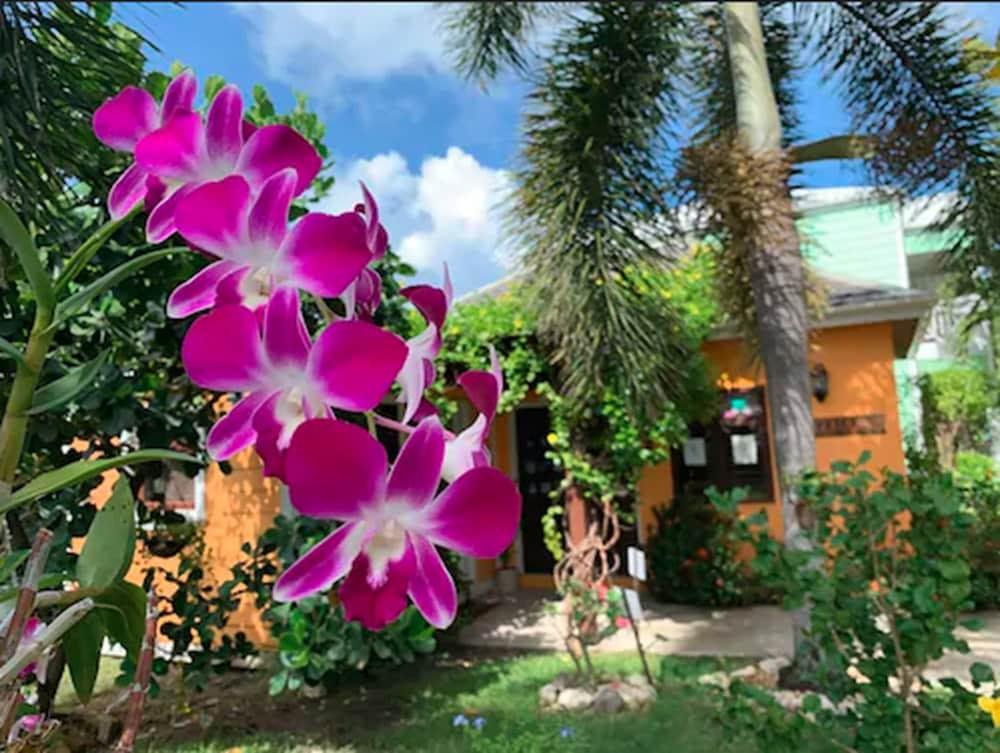 Buccaneer Beach Club Dickenson Bay Eksteriør billede