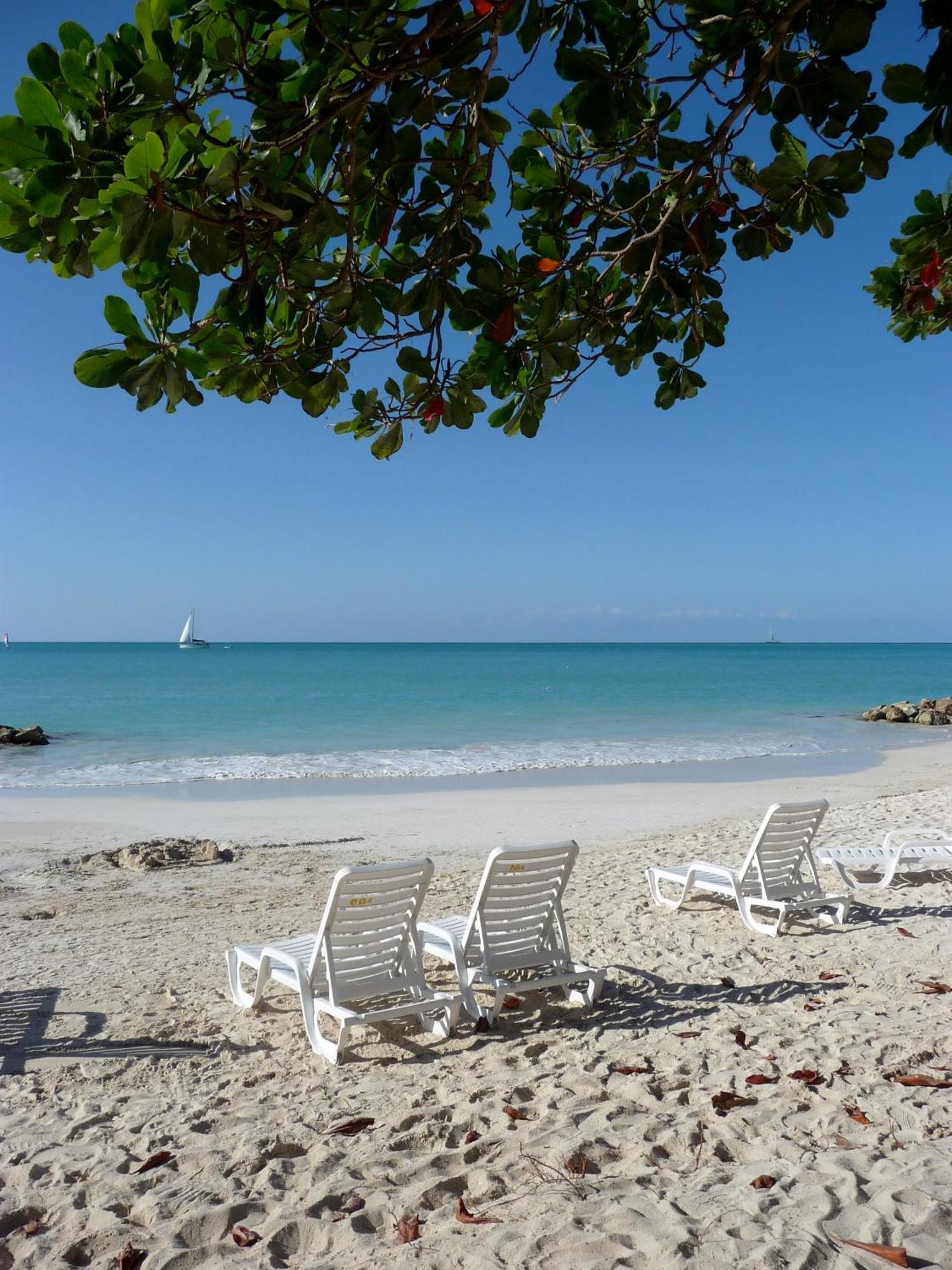 Buccaneer Beach Club Dickenson Bay Eksteriør billede