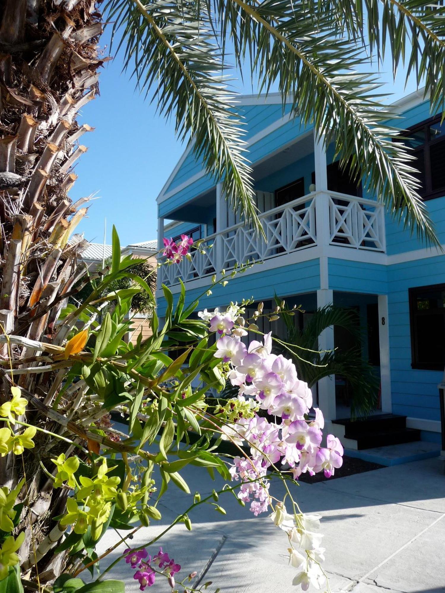 Buccaneer Beach Club Dickenson Bay Eksteriør billede
