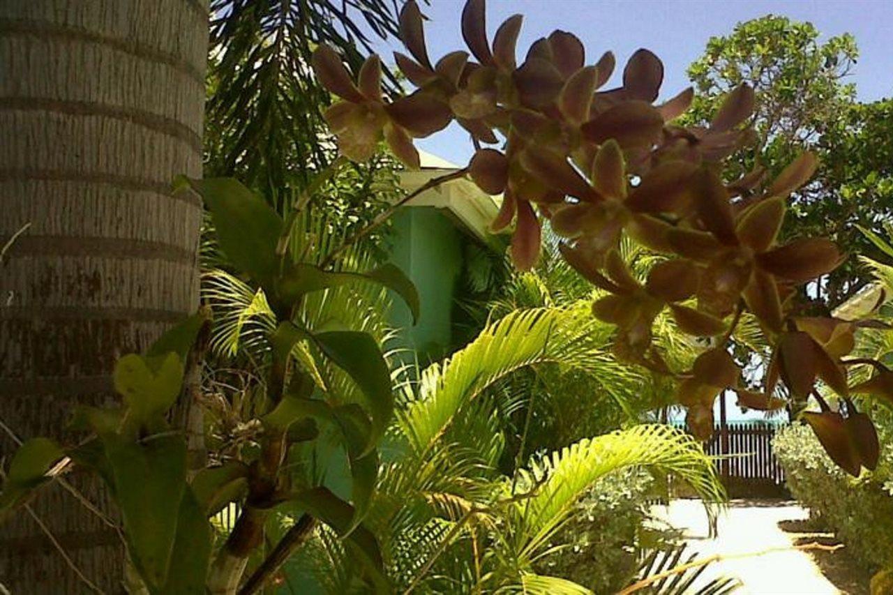 Buccaneer Beach Club Dickenson Bay Eksteriør billede