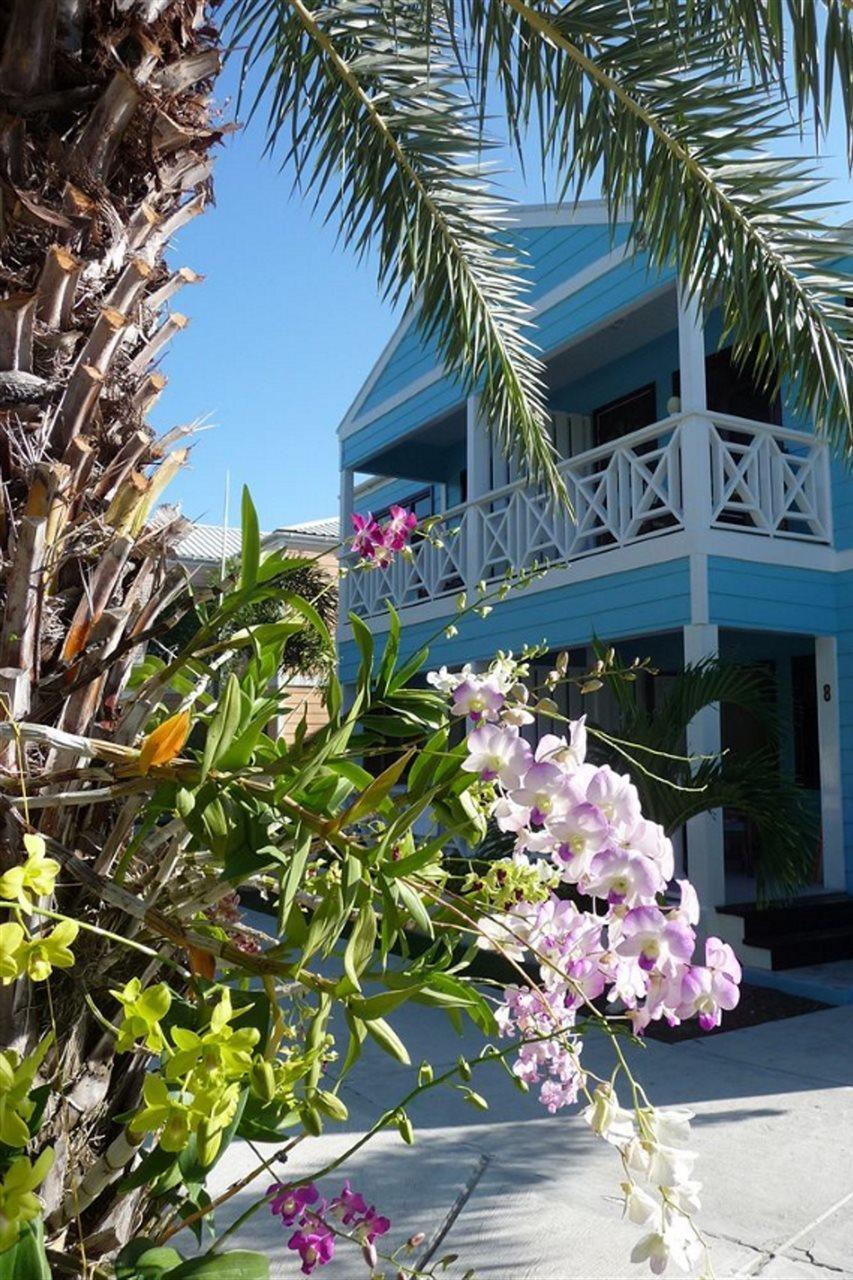 Buccaneer Beach Club Dickenson Bay Eksteriør billede
