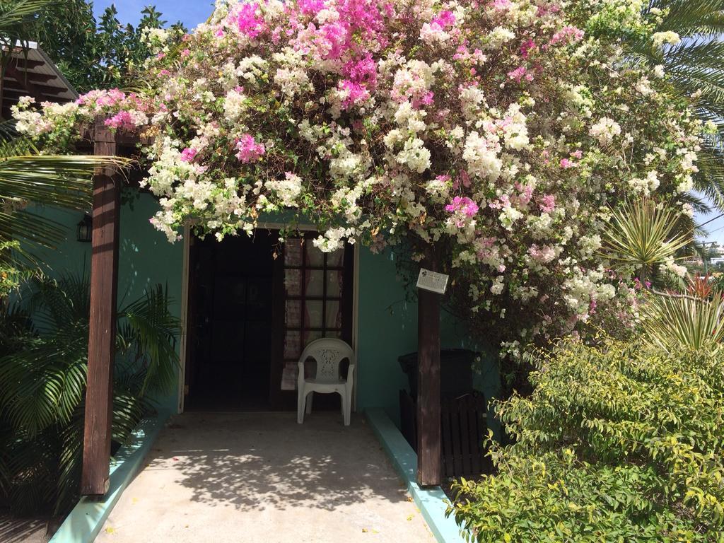 Buccaneer Beach Club Dickenson Bay Eksteriør billede