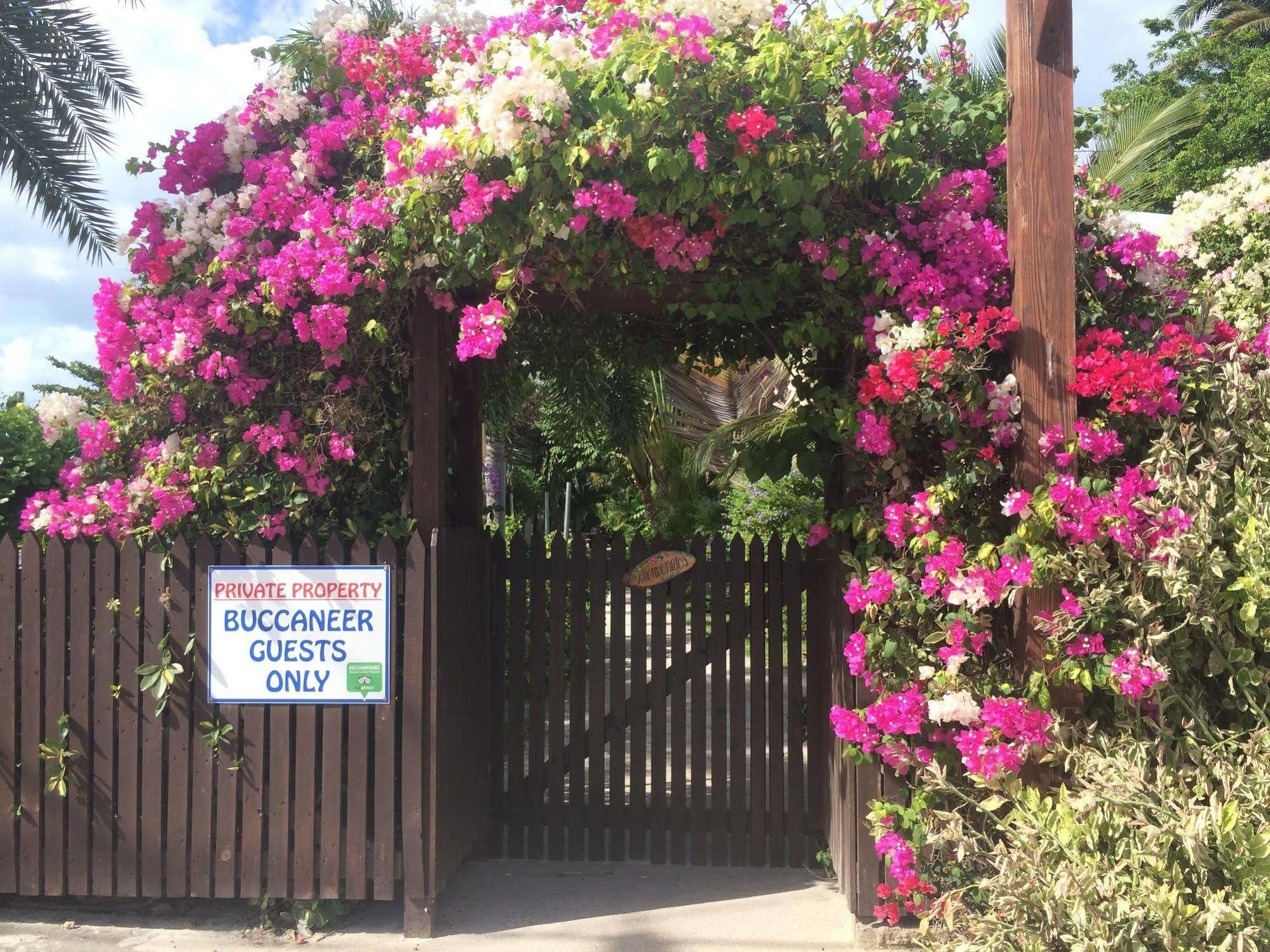 Buccaneer Beach Club Dickenson Bay Eksteriør billede